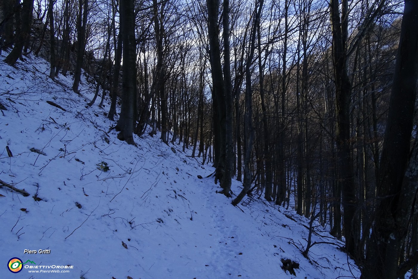 63 Neve sul versante in ombra.JPG